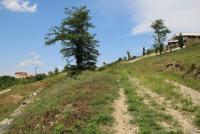 Imagine atasata: orad-04.aug.2019-049.jpg